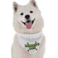 BanDoggie Mummy's Boy Dog Bandana - Soft Microfiber Mother's Day Pet Bandana, Made in USA