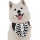 BanDoggie Skeleton Costume Dog Bandana - Soft Microfiber Halloween Pet Bandana, Made in USA