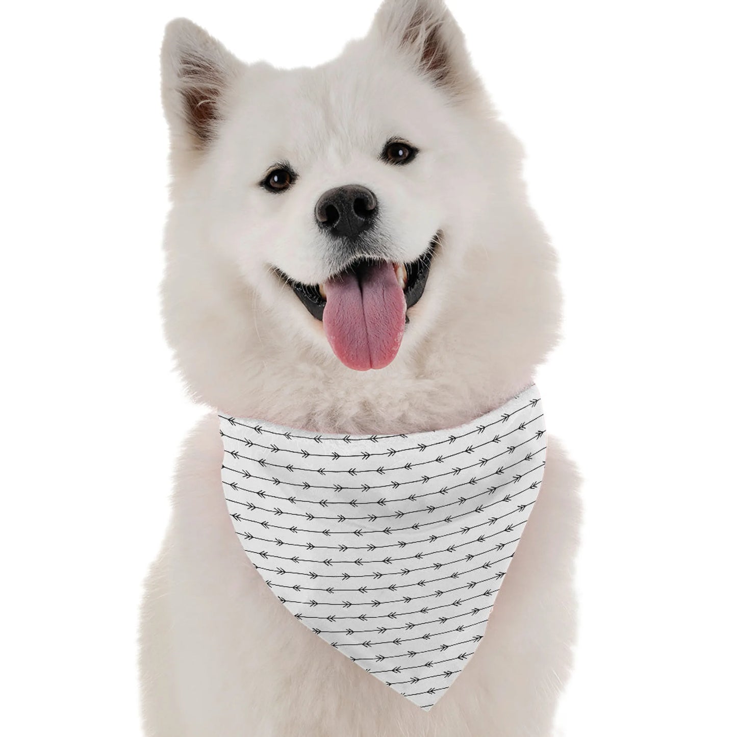 Emery Abstract Dog Bandana by Bandoggies