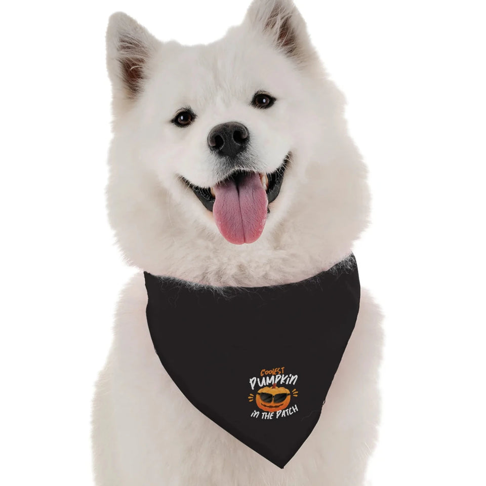 The Coolest Pumpkin Halloween Dog Bandana by BanDoggie - Pets Perfect