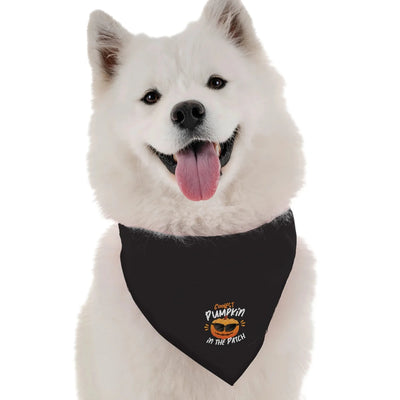 The Coolest Pumpkin Halloween Dog Bandana by BanDoggie - Pets Perfect