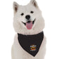 The Coolest Pumpkin Halloween Dog Bandana by BanDoggie