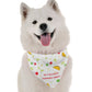My Favorite Drinking Amigo Dog Bandana by BanDoggie
