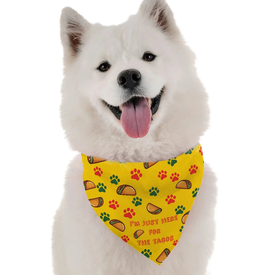 I'm Just Here for the Tacos Dog Bandana by BanDoggie - Pets Perfect