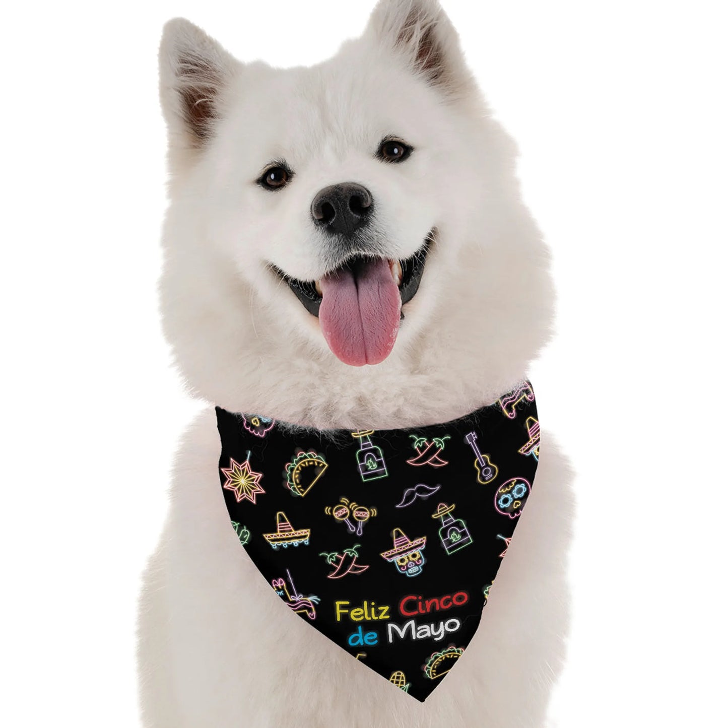 Feliz Cinco de Mayo Dog Bandana by BanDoggie