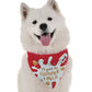 Cookies and Milk Christmas Dog Bandana by BanDoggie