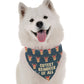 Cutest Reindeer of All Dog Bandana by BanDoggie