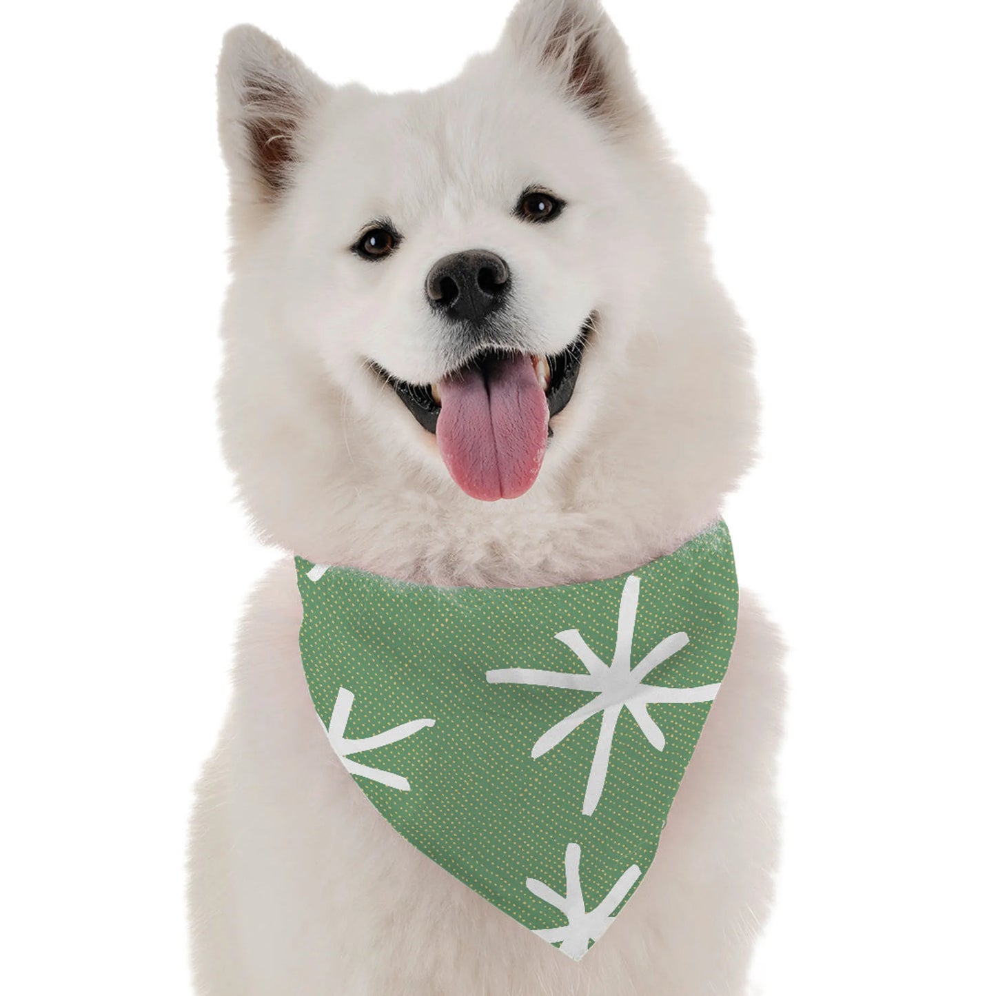 BanDoggie Dara Dog Bandana - Contemporary Chic Design