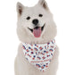 Patriotic Pooch 4th of July Dog Bandana by BanDoggie