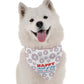 BanDoggie Happy 4th of July Dog Bandana - Patriotic Microfiber Pet Bandana, USA Made