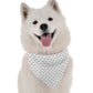 Emery Abstract Dog Bandana by Bandoggies