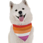 BanDoggie Lesbian Pride Dog Bandana - Soft Microfiber, USA Made