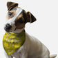 Yellow Paisley Dog Bandana by BanDoggie