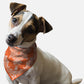 Orange Paisley Dog Bandana by BanDoggie