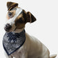 BanDoggie Navy Paisley Western Dog Bandana