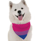 BanDoggie Bi Pride Dog Bandana
