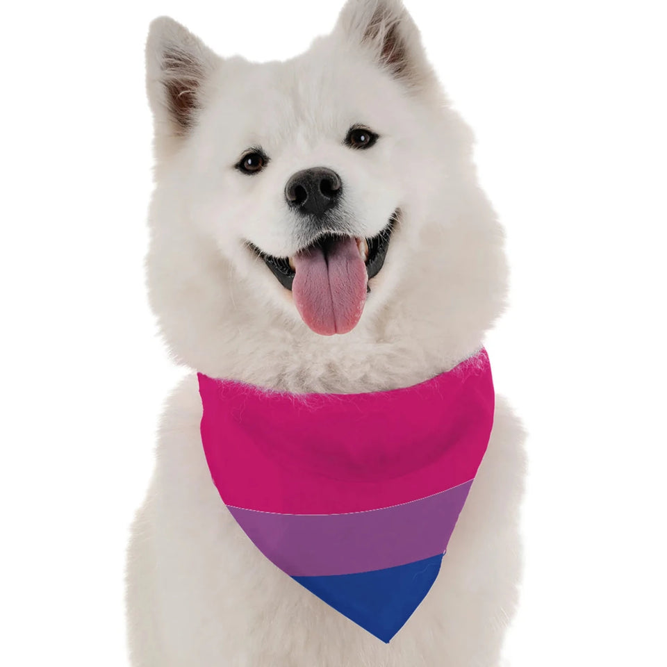 BanDoggie Bi Pride Dog Bandana - Pets Perfect