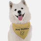 BanDoggie Stay Golden Funny Dog Bandana