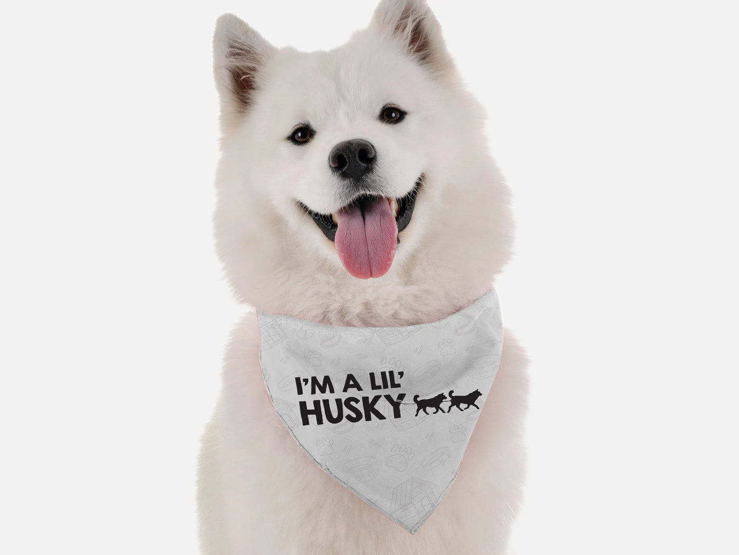 I'm a Lil' Husky Dog Bandana by BanDoggie