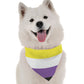Non Binary Pride Dog Bandana by Bandoggies