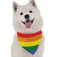Pride Dog Bandana by BanDoggie