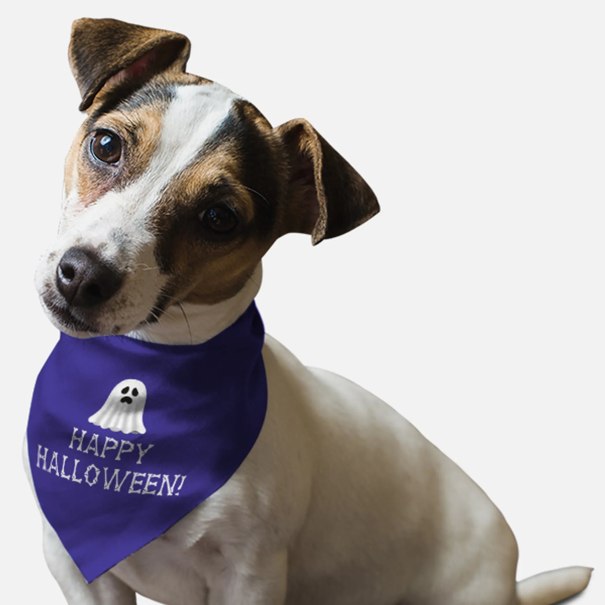 Happy Halloween!