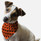 Scaredy Cat Dog Bandana by BanDoggies