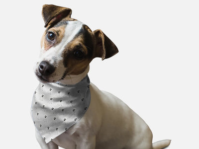 Ghosts Galore Halloween Dog Bandana by BanDoggie - Pets Perfect