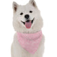 Pink Carnation Floral Dog Bandana by Bandoggies