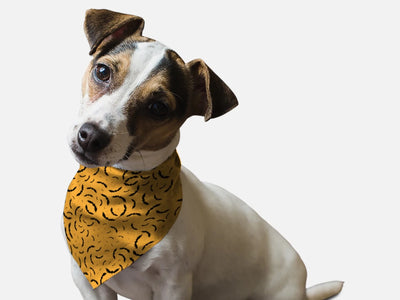 Bats, Bats, Bats! Dog Bandana by BanDoggie - Pets Perfect