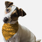 Bats, Bats, Bats! Dog Bandana by BanDoggie