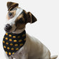 Head Full O' Pumpkin Halloween Dog Bandana by BanDoggie