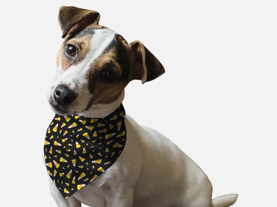 BanDoggie Candy Corn Halloween Dog Bandana - Microfiber, Made in USA - Pets Perfect