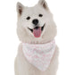 BanDoggie White Carnation Dog Bandana - Elegant Floral Design