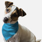 Swimming Pool Blue Dog Bandana by BanDoggie