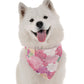 BanDoggie Florals Dog Bandana