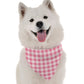 Pink Picnic Dog Bandana by BanDoggie