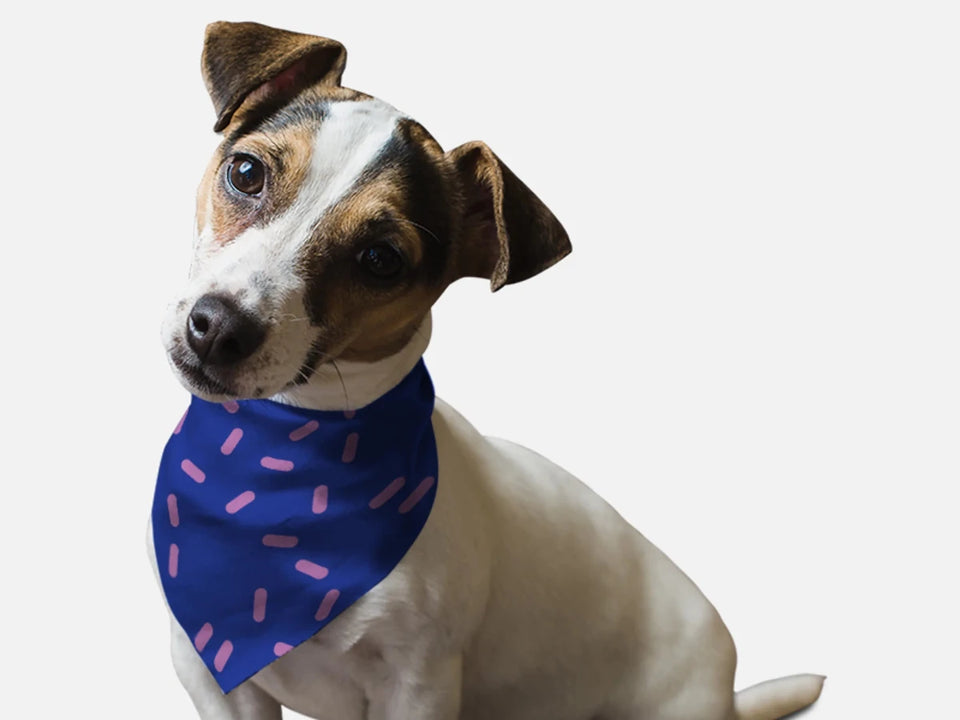 BanDoggie Sprinkles Please! Dog Bandana - Soft Microfiber Pet Bandana, Made in USA - Pets Perfect
