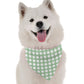 BanDoggie Polka Green Dog Bandana - Nature-Inspired Microfiber, USA Made