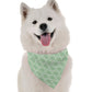 BanDoggie Mint Dog Bandana - Fresh and Stylish Design