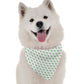 Tee Drops Dog Bandana by BanDoggie