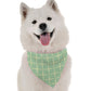 Iris Dog Bandana by BanDoggie