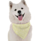 BanDoggie Sunshine Dog Bandana