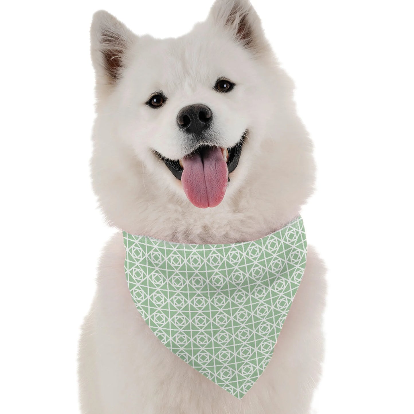 BanDoggie Savannah Dog Bandana - Contemporary Grassland Design