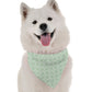 BanDoggie Savannah Dog Bandana - Contemporary Grassland Design