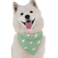 BanDoggie Spruce Dog Bandana - Nature-Inspired Microfiber, USA Made