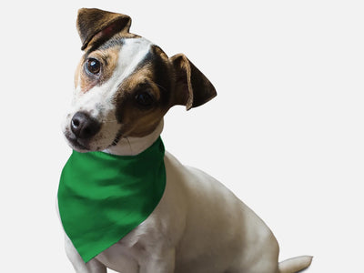 Green Green Grass Dog Bandana by BanDoggie - Pets Perfect