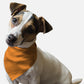 Florida Orange Dog Bandana by BanDoggie