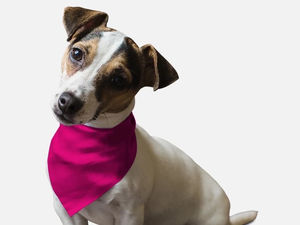 BanDoggie Neon Frisbee Pink Dog Bandana - Soft Microfiber Pet Bandana - Pets Perfect