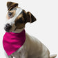 BanDoggie Neon Frisbee Pink Dog Bandana - Soft Microfiber Pet Bandana